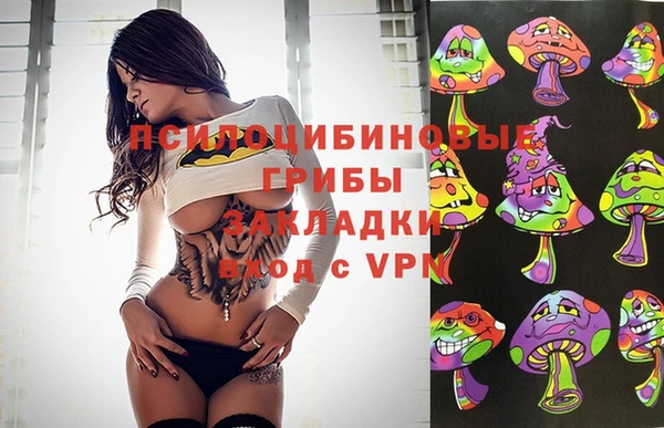 дживик Дмитриев