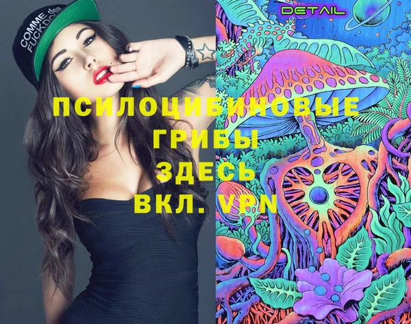 дживик Дмитриев