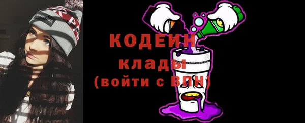 мдпв Дмитровск