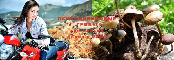 мдма Дмитров