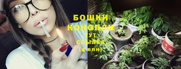 мдпв Дмитровск
