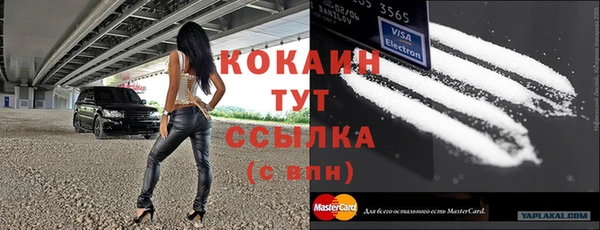 мдпв Дмитровск