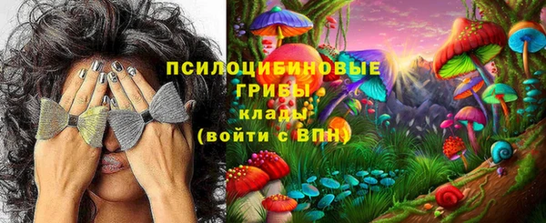 мдпв Дмитровск