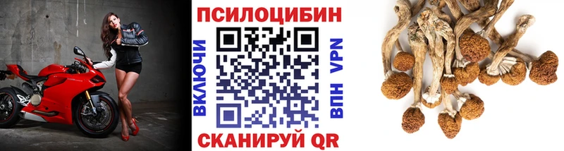 Галлюциногенные грибы мицелий Голицыно
